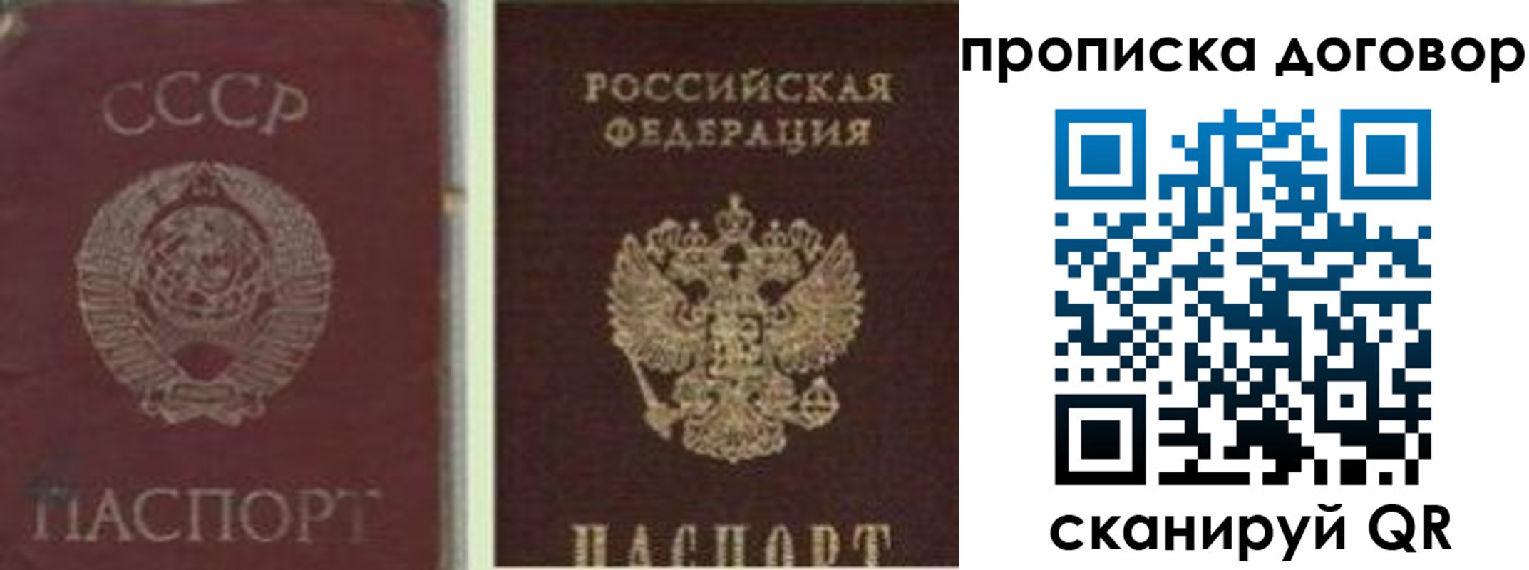 прописка гарантия в Чечне